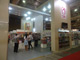 bienal_2013 15